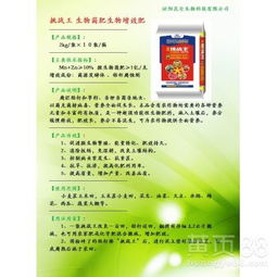 生物菌肥在蔬菜田土壤改良中的應用 專屬型土壤改良劑的研發探索